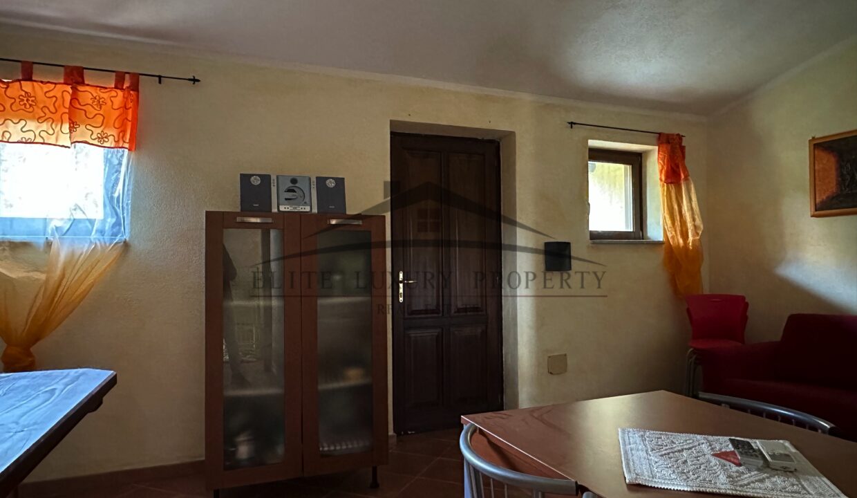 vista ingresso